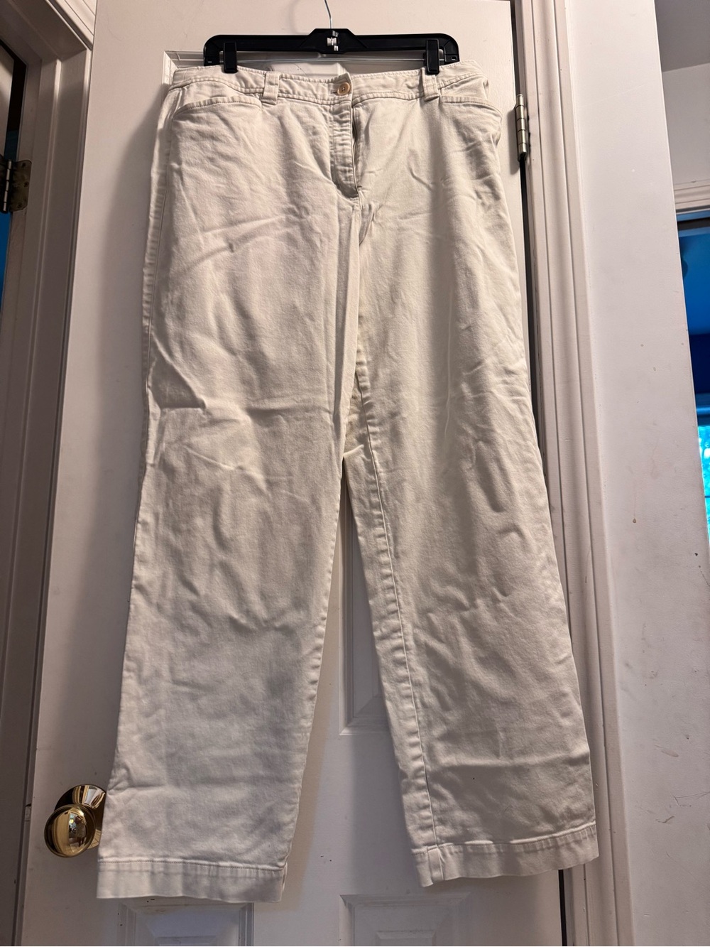 Talbots Cream Beige Pants Size 16 Casual Chic